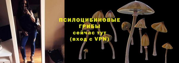 альфа пвп Няндома