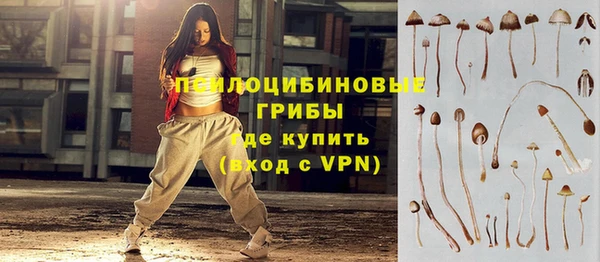 альфа пвп Няндома