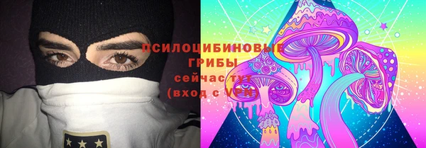 дурь Новозыбков