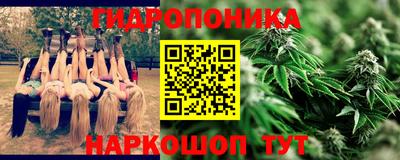 индика Беслан