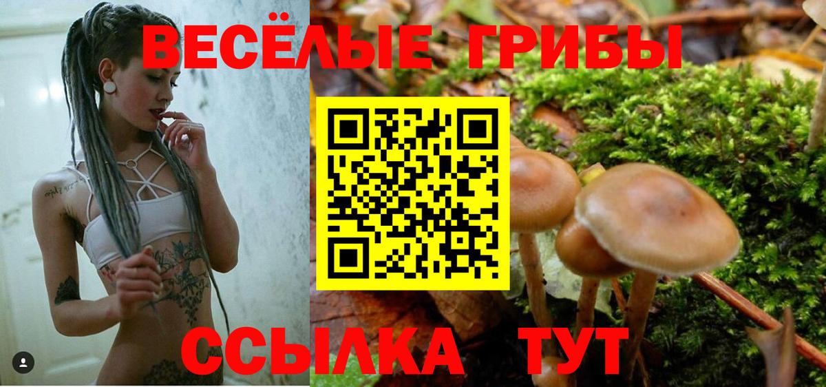 Сафоново  Псилоцибиновые грибы MAGIC MUSHROOMS  Вход с VPN 