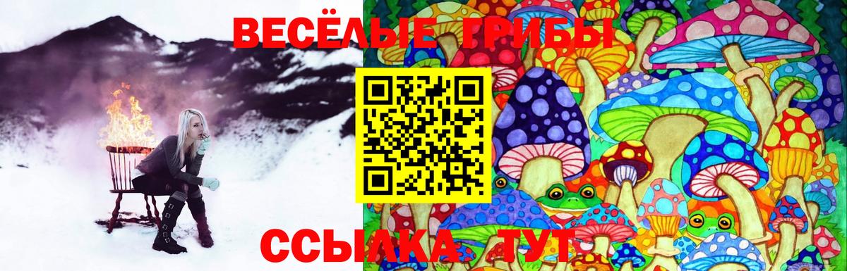 Псилоцибиновые грибы MAGIC MUSHROOMS Сафоново